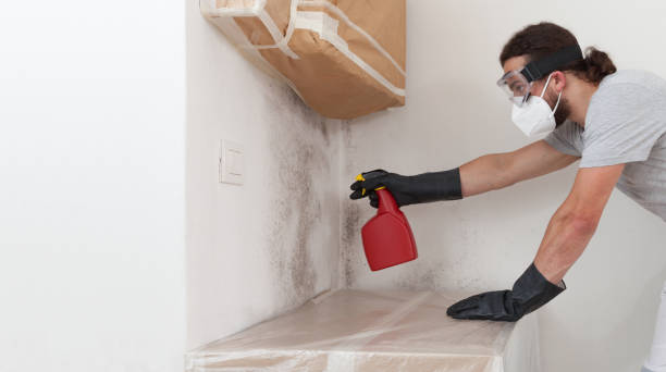 Professional Attic Mold Removal technician working in Bunnlevel, NC