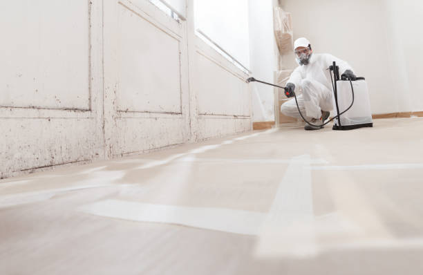 24/7 Emergency Attic Mold Removal experts in Bunnlevel, NC