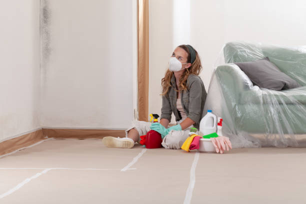Reliable Attic Mold Removal contractor in Bunnlevel, NC by WQB Mold Removal
