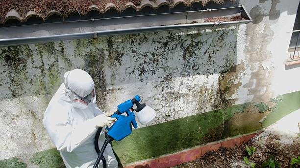 Top rated local Attic Mold Removal specialists in Bunnlevel, NC